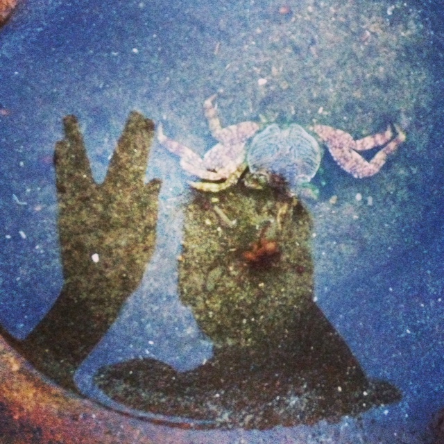 Turns out it was dead