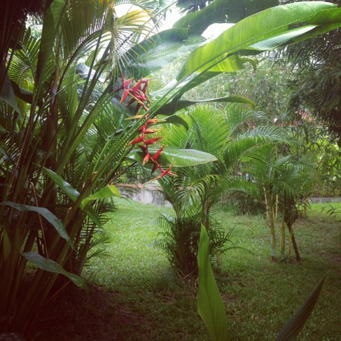 View outside our doors