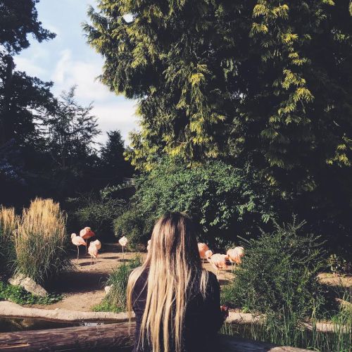 Photo: www.ficemusic.com