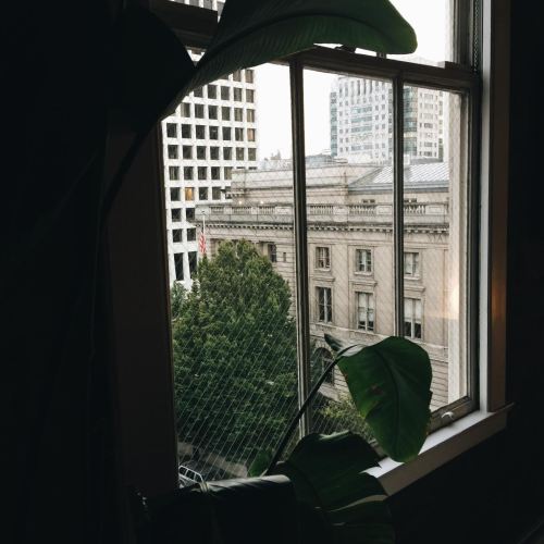 Processed with VSCO with a6 preset